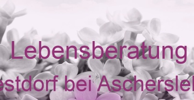 Lebensberatung Westdorf bei Aschersleben | Top-Experten für Kartenlegen, Wahrsagen, Hellsehen, Zukunftsdeutung. Lebensberatung Westdorf bei Aschersleben | Top-Experten für Kartenlegen, Wahrsagen, Hellsehen, Zukunftsdeutung.